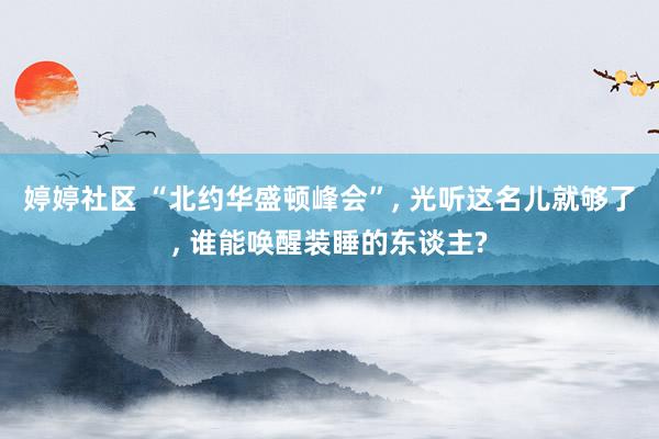 婷婷社区 “北约华盛顿峰会”， 光听这名儿就够了， 谁能唤醒装睡的东谈主?