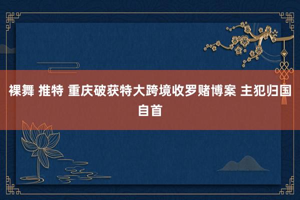 裸舞 推特 重庆破获特大跨境收罗赌博案 主犯归国自首