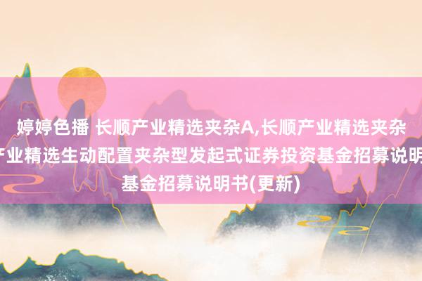 婷婷色播 长顺产业精选夹杂A,长顺产业精选夹杂C: 长顺产业精选生动配置夹杂型发起式证券投资基金招募说明书(更新)
