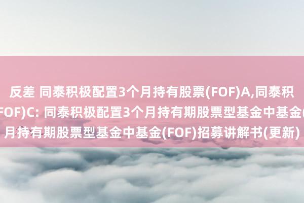 反差 同泰积极配置3个月持有股票(FOF)A,同泰积极配置3个月持有股票(FOF)C: 同泰积极配置3个月持有期股票型基金中基金(FOF)招募讲解书(更新)