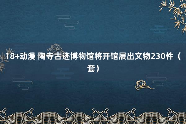 18+动漫 陶寺古迹博物馆将开馆展出文物230件（套）