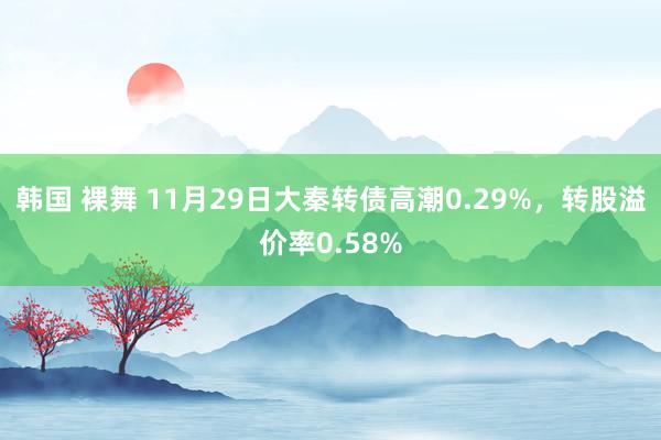 韩国 裸舞 11月29日大秦转债高潮0.29%，转股溢价率0.58%