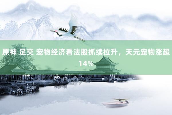 原神 足交 宠物经济看法股抓续拉升，天元宠物涨超14%