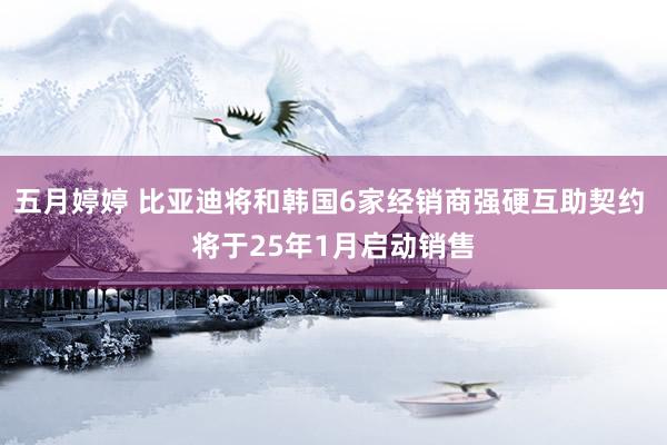 五月婷婷 比亚迪将和韩国6家经销商强硬互助契约 将于25年1月启动销售