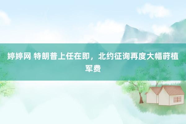 婷婷网 特朗普上任在即，北约征询再度大幅莳植军费