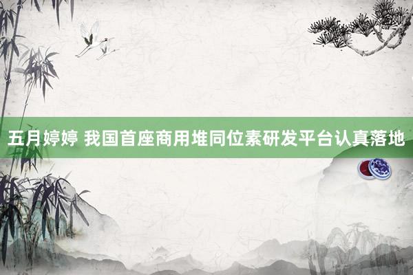 五月婷婷 我国首座商用堆同位素研发平台认真落地