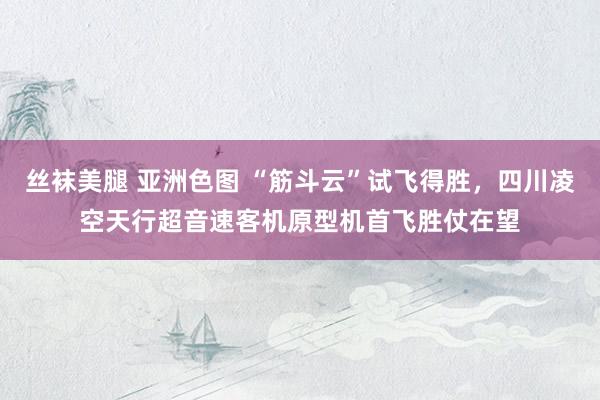 丝袜美腿 亚洲色图 “筋斗云”试飞得胜，四川凌空天行超音速客机原型机首飞胜仗在望