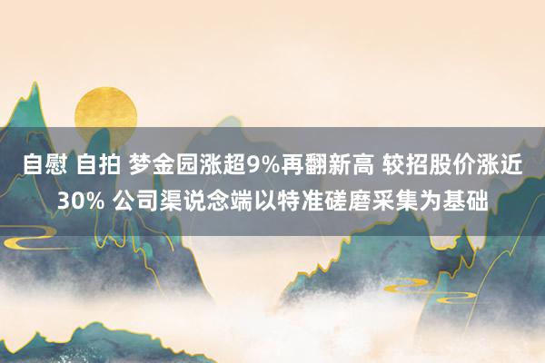 自慰 自拍 梦金园涨超9%再翻新高 较招股价涨近30% 公司渠说念端以特准磋磨采集为基础