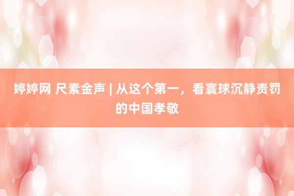 婷婷网 尺素金声 | 从这个第一，看寰球沉静责罚的中国孝敬