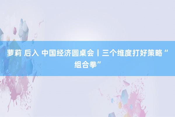萝莉 后入 中国经济圆桌会丨三个维度打好策略“组合拳”