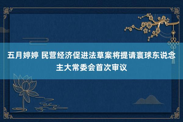 五月婷婷 民营经济促进法草案将提请寰球东说念主大常委会首次审议