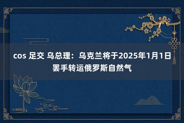 cos 足交 乌总理：乌克兰将于2025年1月1日罢手转运俄罗斯自然气