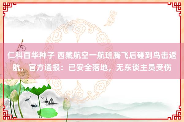 仁科百华种子 西藏航空一航班腾飞后碰到鸟击返航，官方通报：已安全落地，无东谈主员受伤