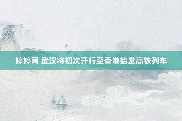 婷婷网 武汉将初次开行至香港始发高铁列车