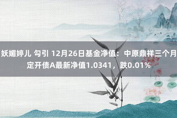 妖媚婷儿 勾引 12月26日基金净值：中原鼎祥三个月定开债A最新净值1.0341，跌0.01%