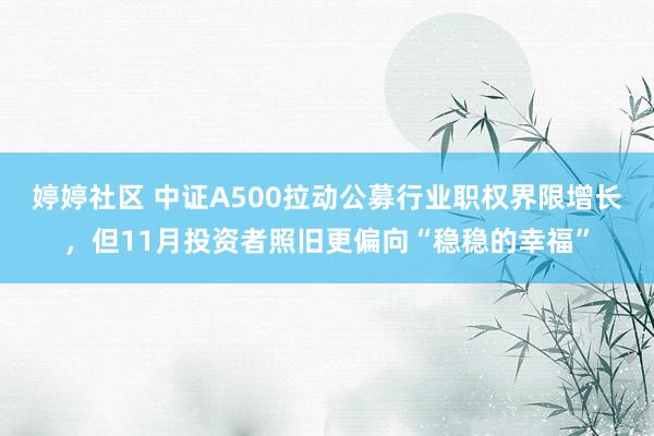 婷婷社区 中证A500拉动公募行业职权界限增长，但11月投资者照旧更偏向“稳稳的幸福”