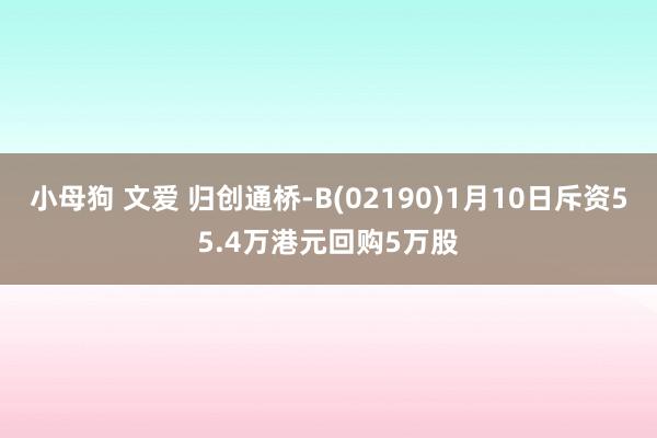 小母狗 文爱 归创通桥-B(02190)1月10日斥资55.4万港元回购5万股