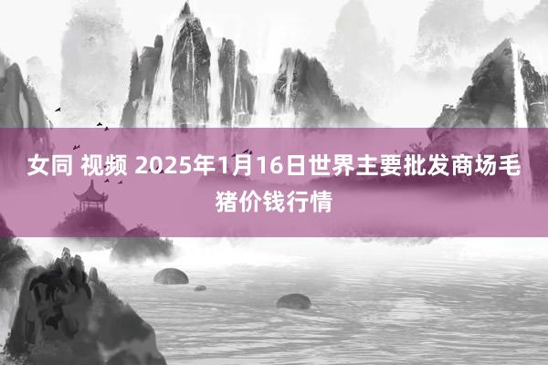 女同 视频 2025年1月16日世界主要批发商场毛猪价钱行情