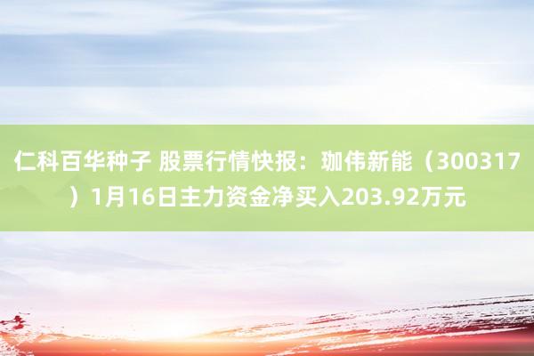 仁科百华种子 股票行情快报：珈伟新能（300317）1月16日主力资金净买入203.92万元
