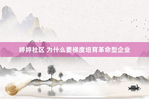 婷婷社区 为什么要梯度培育革命型企业