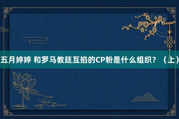 五月婷婷 和罗马教廷互掐的CP粉是什么组织？（上）