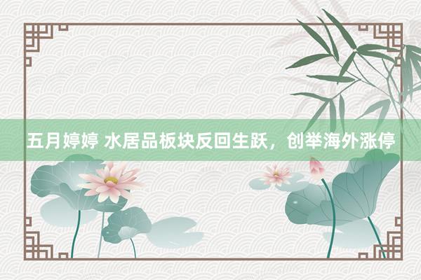 五月婷婷 水居品板块反回生跃，创举海外涨停