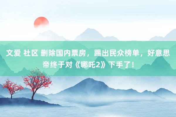 文爱 社区 删除国内票房，踢出民众榜单，好意思帝终于对《哪吒2》下手了！