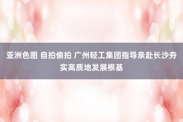 亚洲色图 自拍偷拍 广州轻工集团指导亲赴长沙夯实高质地发展根基