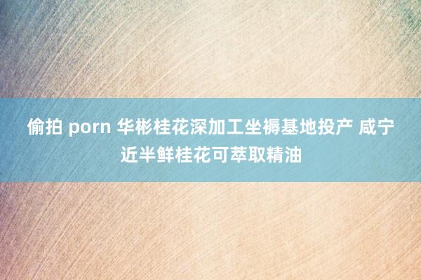 偷拍 porn 华彬桂花深加工坐褥基地投产 咸宁近半鲜桂花可萃取精油