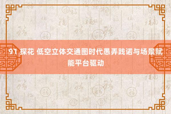 91 探花 低空立体交通图时代愚弄践诺与场景赋能平台驱动