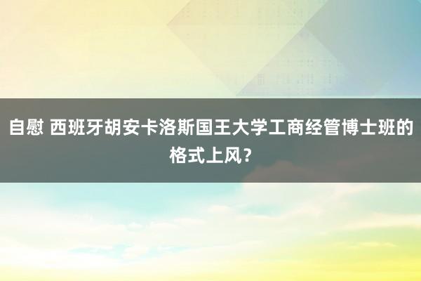自慰 西班牙胡安卡洛斯国王大学工商经管博士班的格式上风？