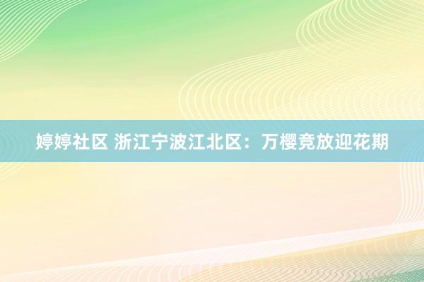 婷婷社区 浙江宁波江北区：万樱竞放迎花期