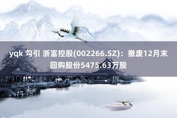 yqk 勾引 浙富控股(002266.SZ)：撤废12月末回购股份5475.63万股
