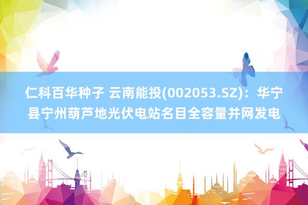 仁科百华种子 云南能投(002053.SZ)：华宁县宁州葫芦地光伏电站名目全容量并网发电