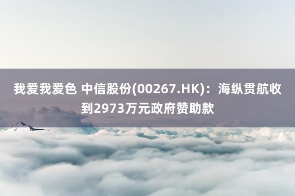 我爱我爱色 中信股份(00267.HK):海纵贯航收到2973万元政府赞助款