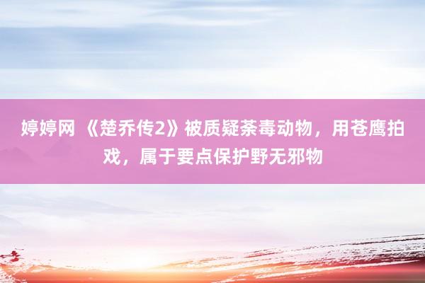 婷婷网 《楚乔传2》被质疑荼毒动物，用苍鹰拍戏，属于要点保护野无邪物