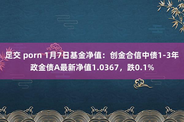 足交 porn 1月7日基金净值：创金合信中债1-3年政金债A最新净值1.0367，跌0.1%