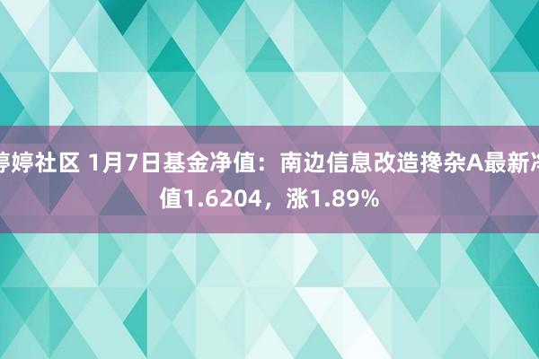 婷婷社区 1月7日基金净值：南边信息改造搀杂A最新净值1.6204，涨1.89%