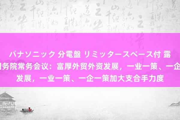 パナソニック 分電盤 リミッタースペース付 露出・半埋込両用形 国务院常务会议：富厚外贸外资发展，一业一策、一企一策加大支合手力度