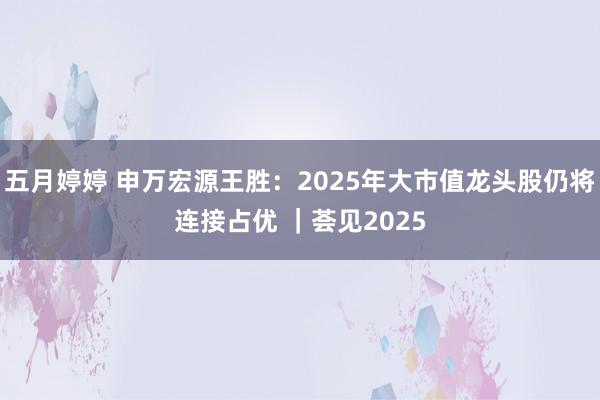 五月婷婷 申万宏源王胜:2025年大市值龙头股仍将连接占优 |荟见2025