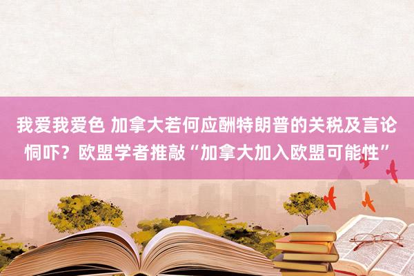 我爱我爱色 加拿大若何应酬特朗普的关税及言论恫吓？欧盟学者推敲“加拿大加入欧盟可能性”
