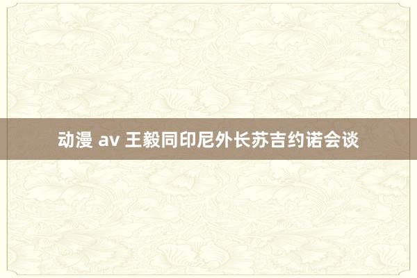 动漫 av 王毅同印尼外长苏吉约诺会谈