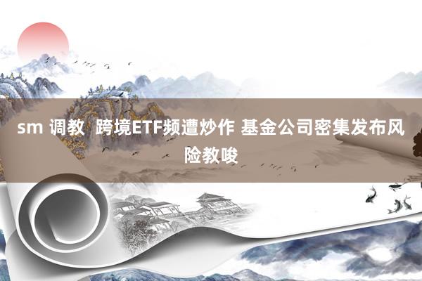 sm 调教  跨境ETF频遭炒作 基金公司密集发布风险教唆
