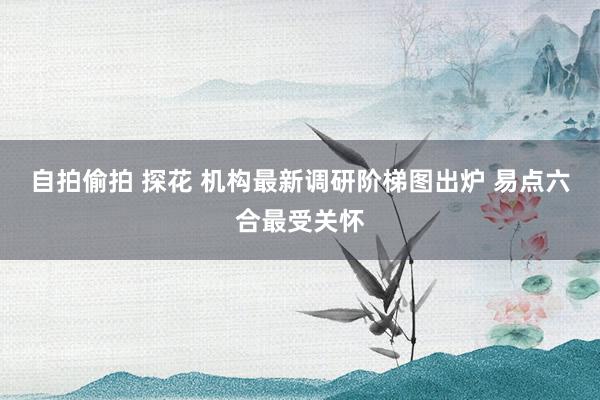 自拍偷拍 探花 机构最新调研阶梯图出炉 易点六合最受关怀