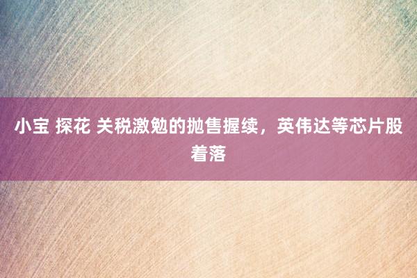 小宝 探花 关税激勉的抛售握续，英伟达等芯片股着落