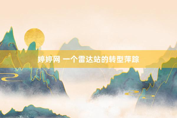婷婷网 一个雷达站的转型萍踪