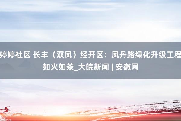 婷婷社区 长丰（双凤）经开区：凤丹路绿化升级工程如火如茶_大皖新闻 | 安徽网